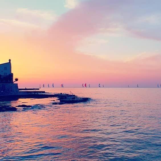 Apartmani Marina Poreč Buitenkant foto