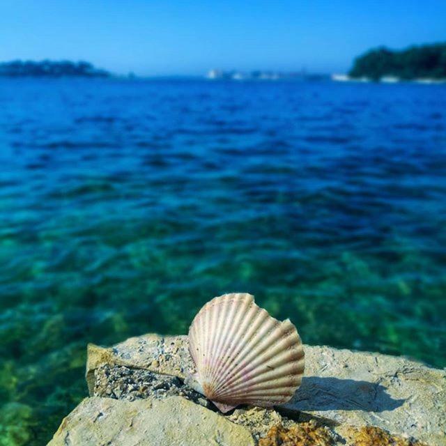 Apartmani Marina Poreč Buitenkant foto